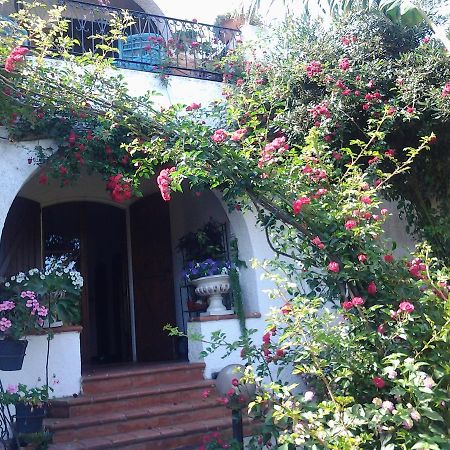 B&B Villa Piera Montecucco Stintino Eksteriør billede