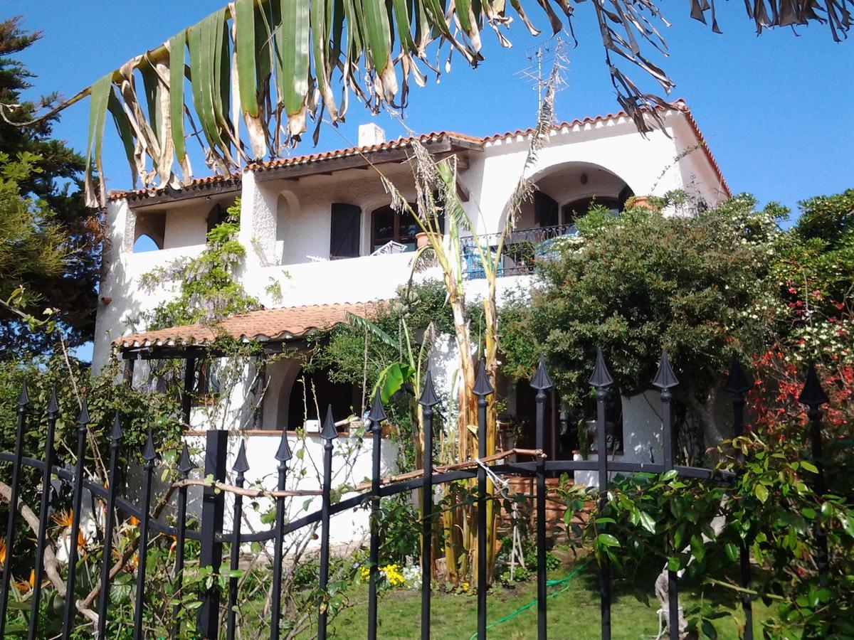 B&B Villa Piera Montecucco Stintino Eksteriør billede
