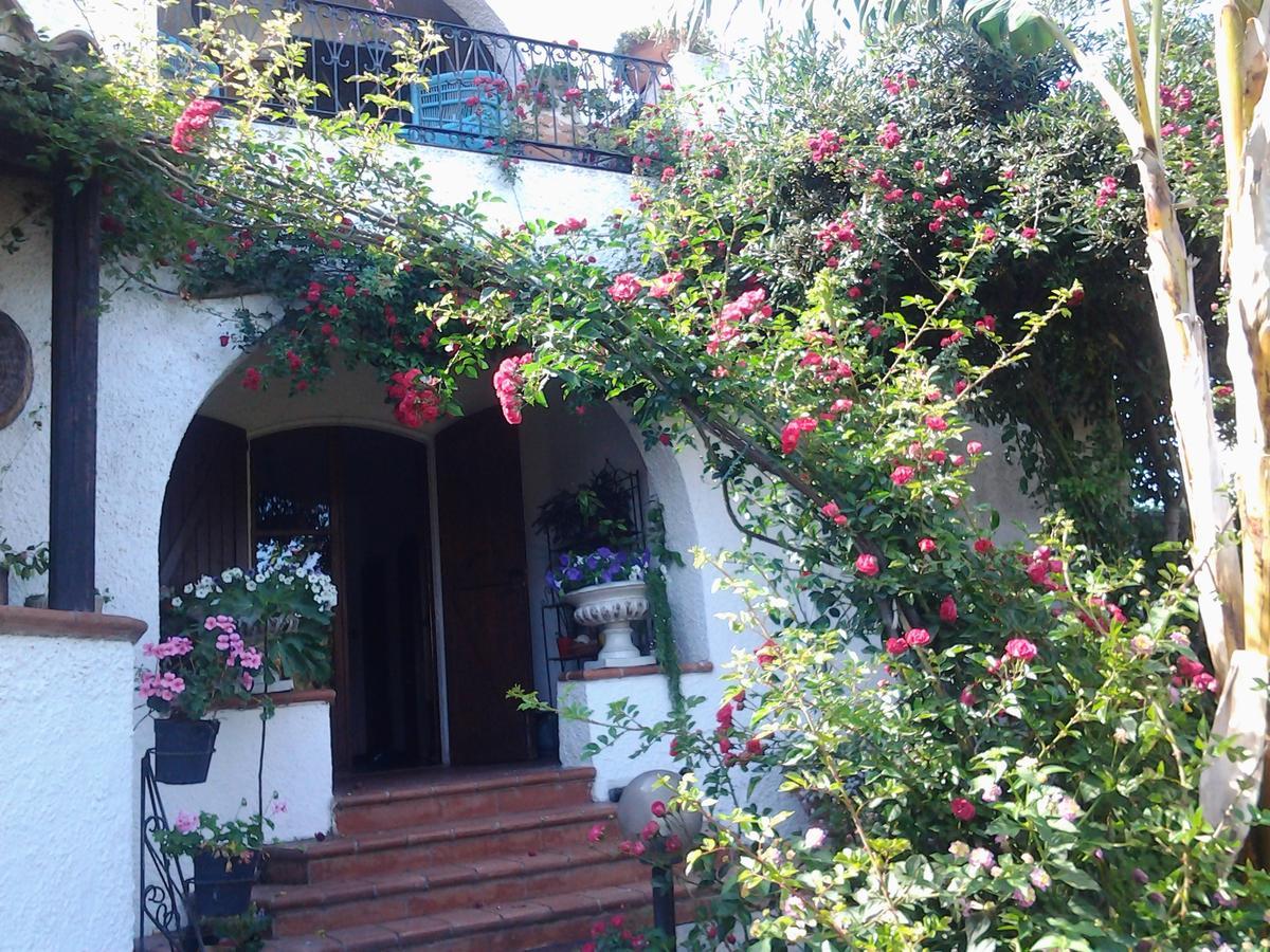 B&B Villa Piera Montecucco Stintino Eksteriør billede